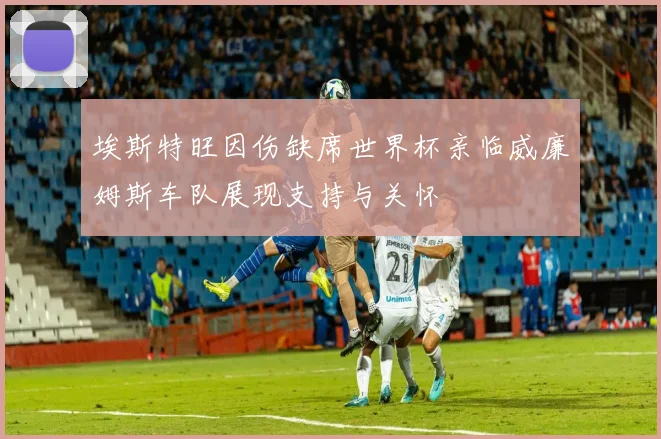 埃斯特旺因伤缺席世界杯亲临威廉姆斯车队展现支持与关怀